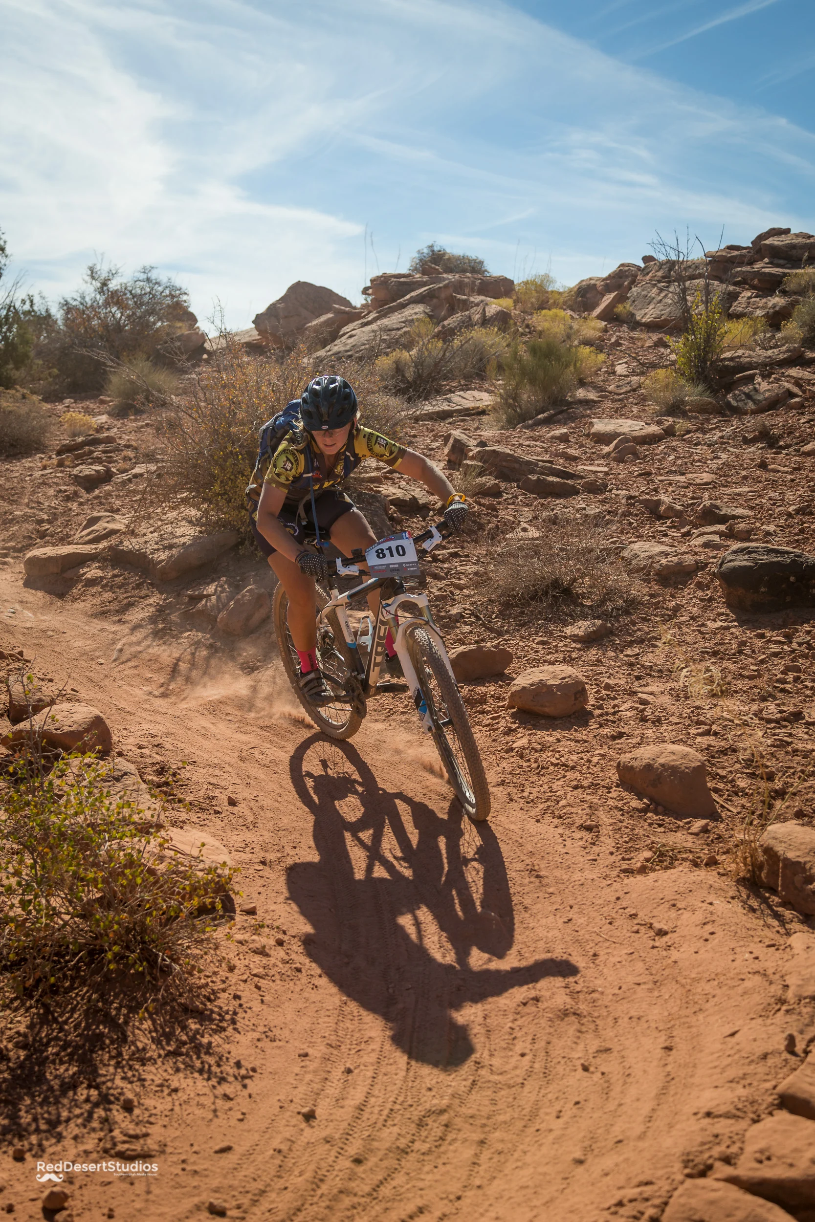 810 Web (5 of 11).JPG