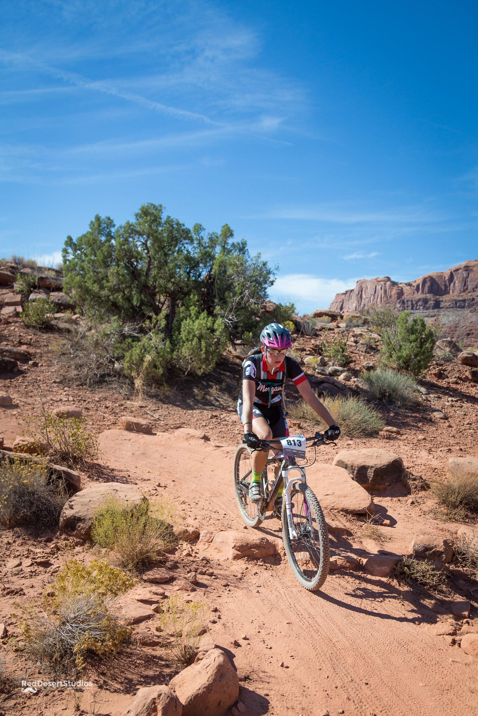 813 Web (3 of 6).JPG