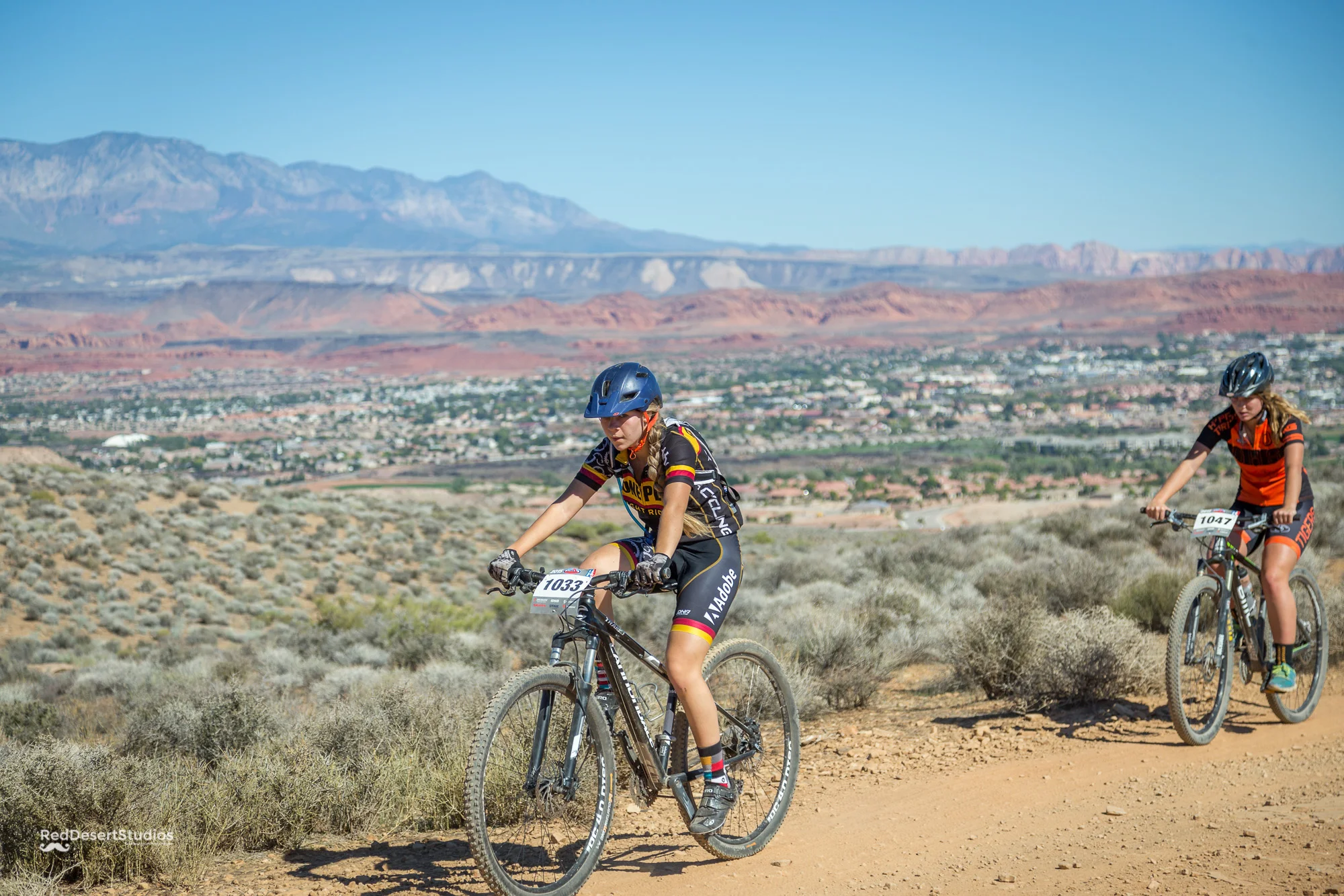 1033 Web (4 of 5).JPG