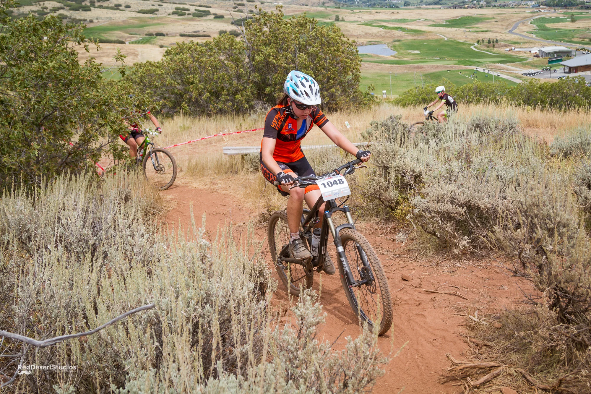 1048 Web (3 of 5).JPG