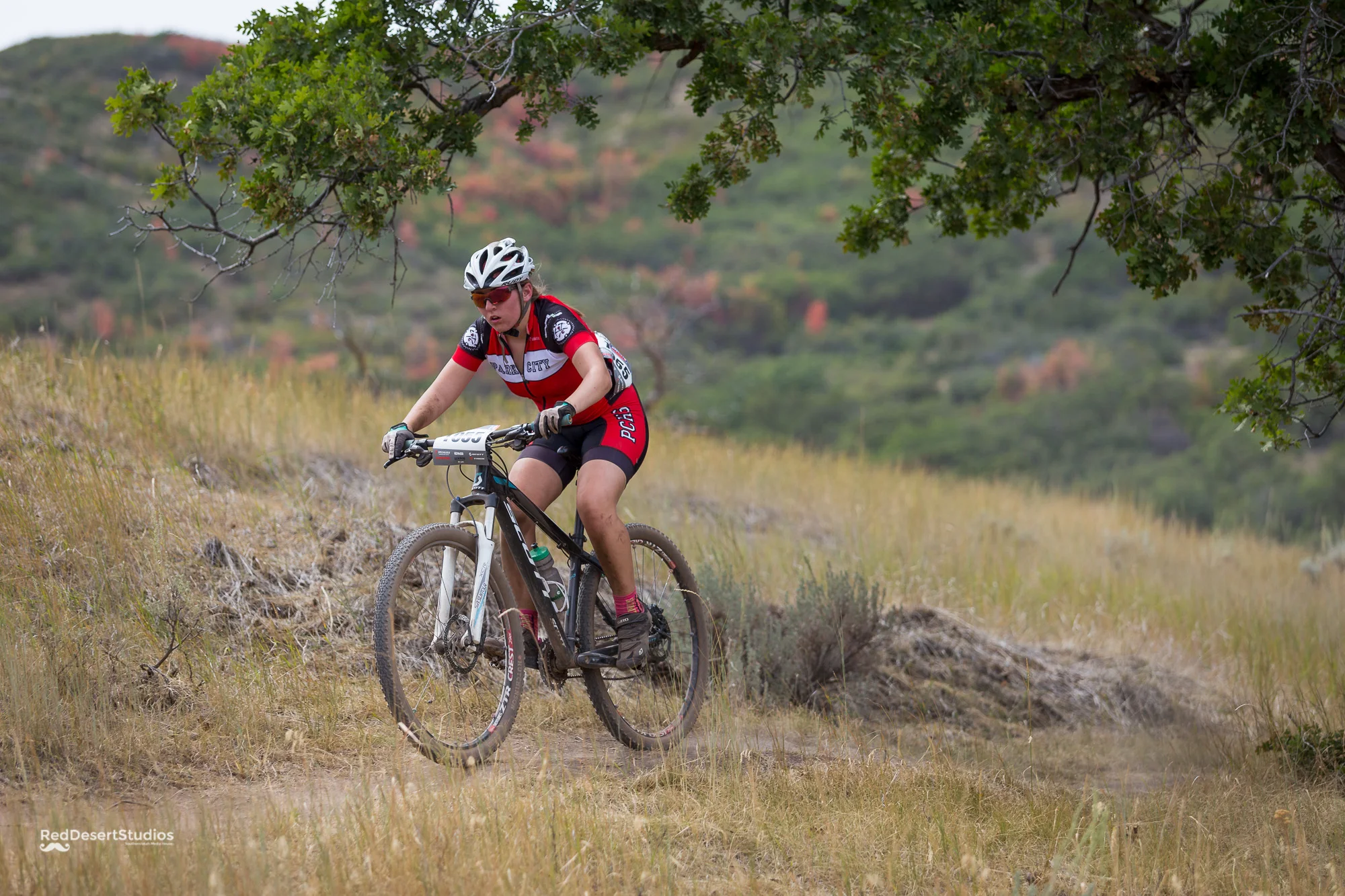 1055 Web (1 of 6).JPG