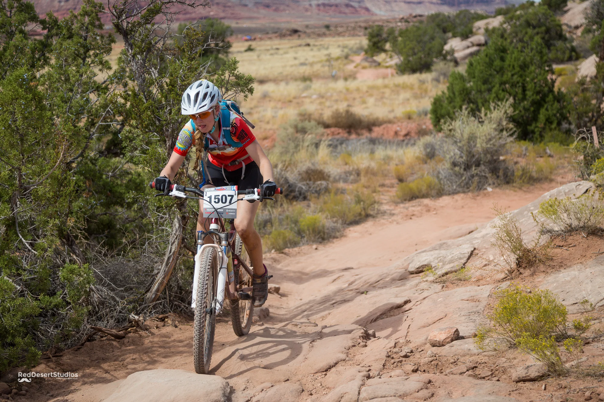 1507 Web (2 of 4).JPG