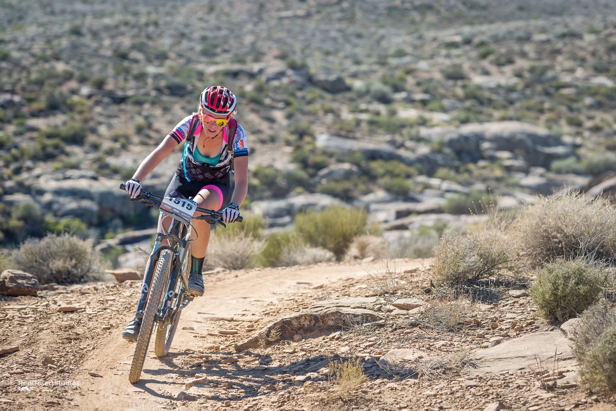 1515 Web (6 of 7).JPG