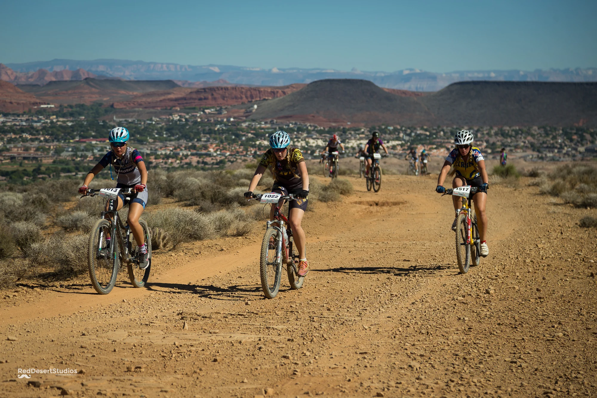 1517 Web (3 of 5).JPG