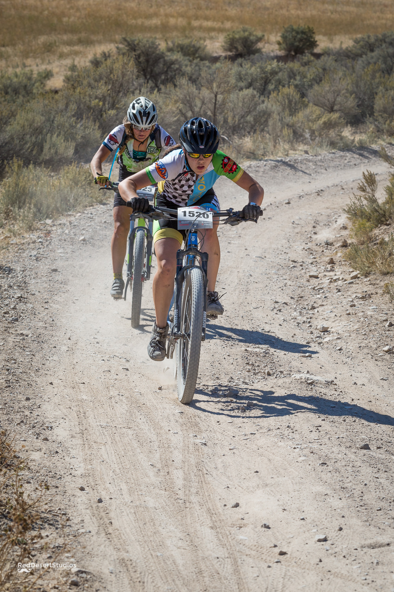 1520 Web (5 of 8).JPG