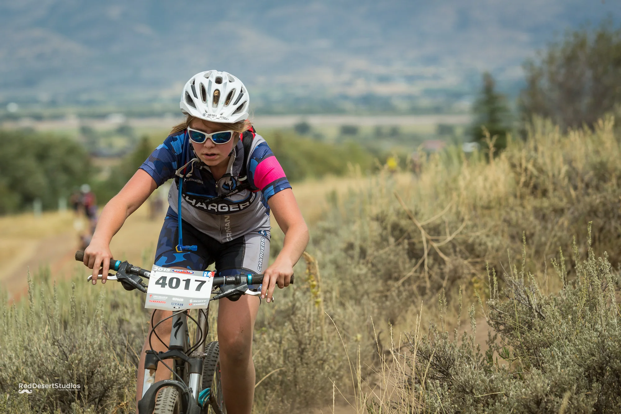 4017 Web (1 of 2).JPG