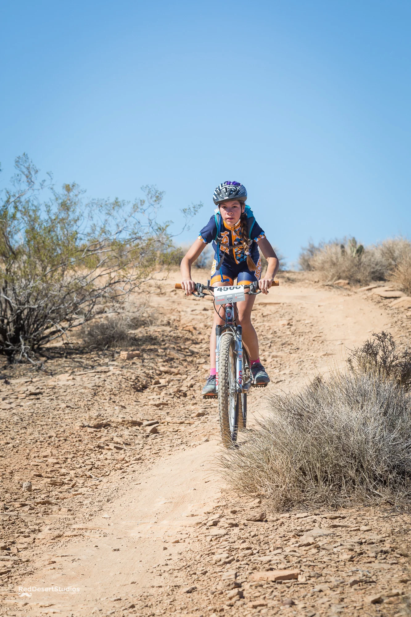 4500 Web (5 of 6).JPG