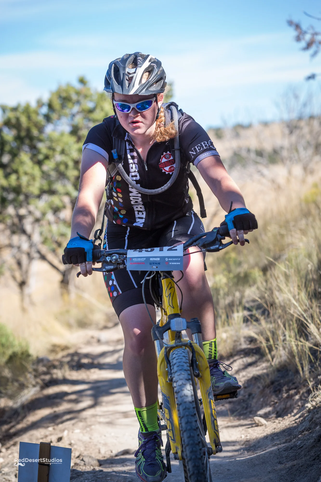 4512 Web (3 of 6).JPG