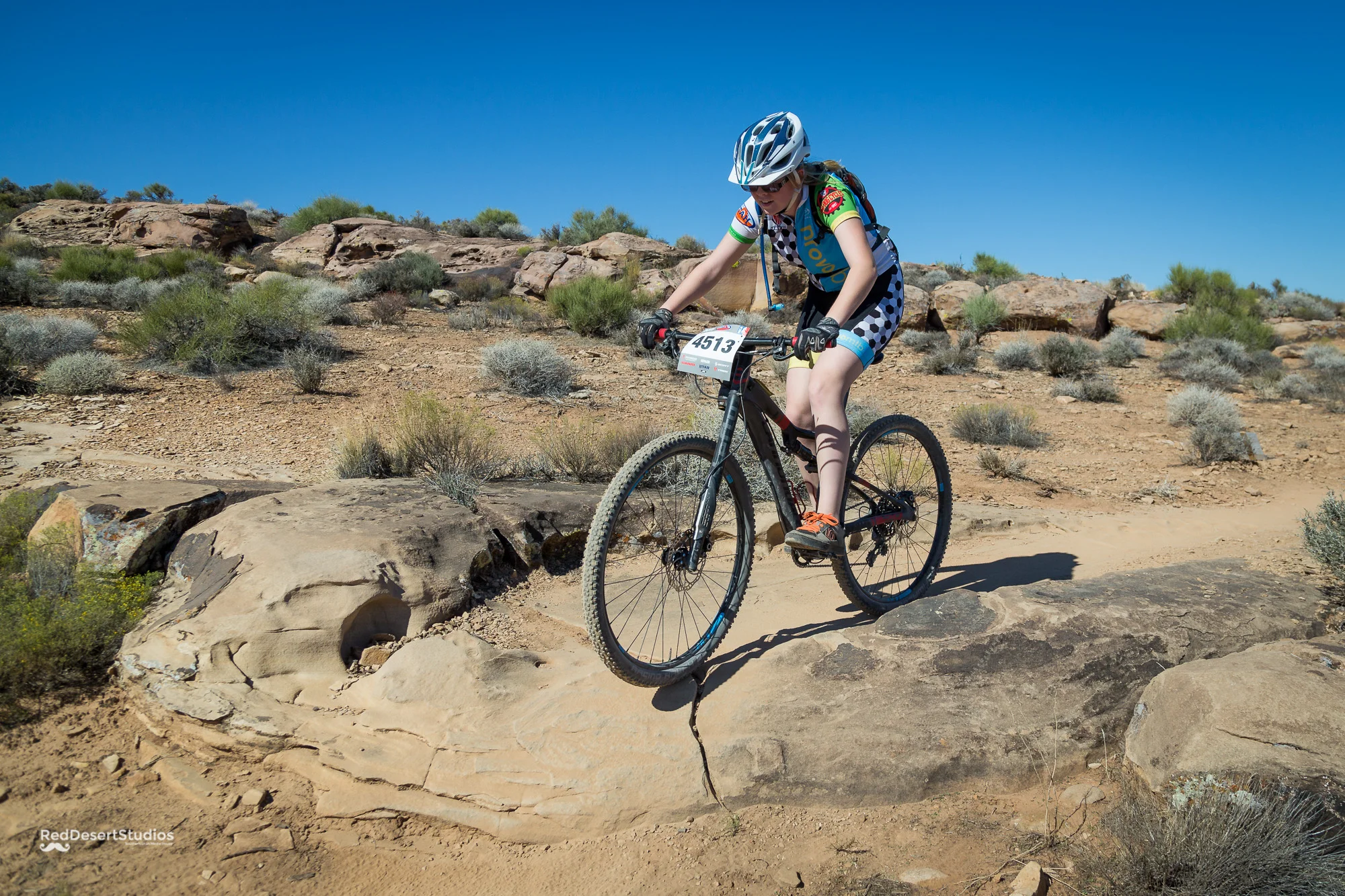 4513 Web (5 of 6).JPG