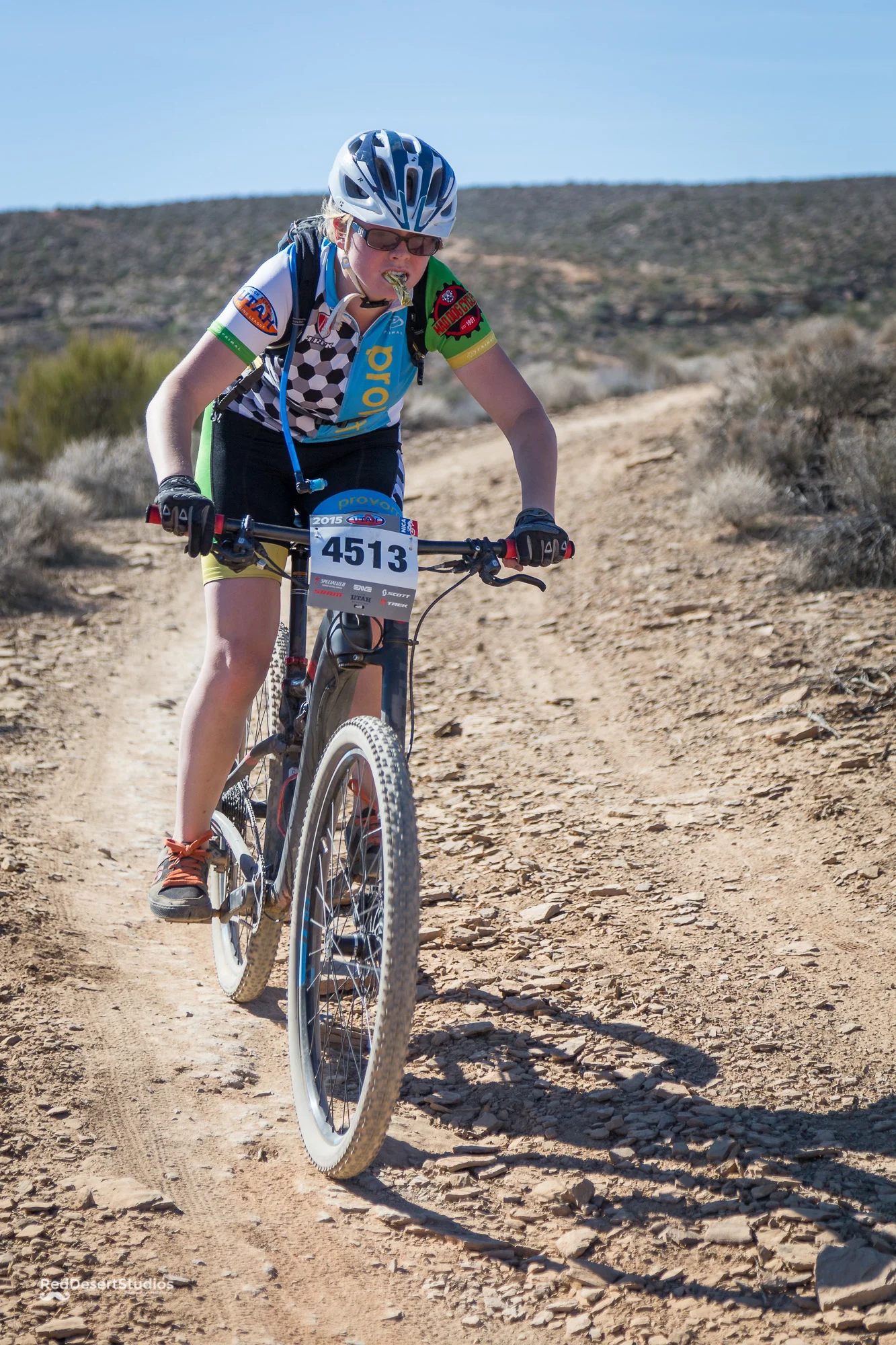 4513 Web (6 of 6).JPG