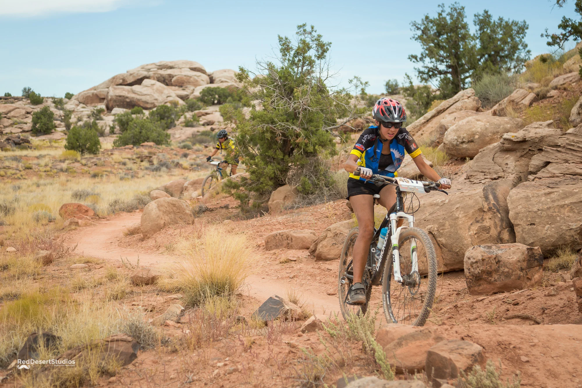 4517 Web (2 of 8).JPG