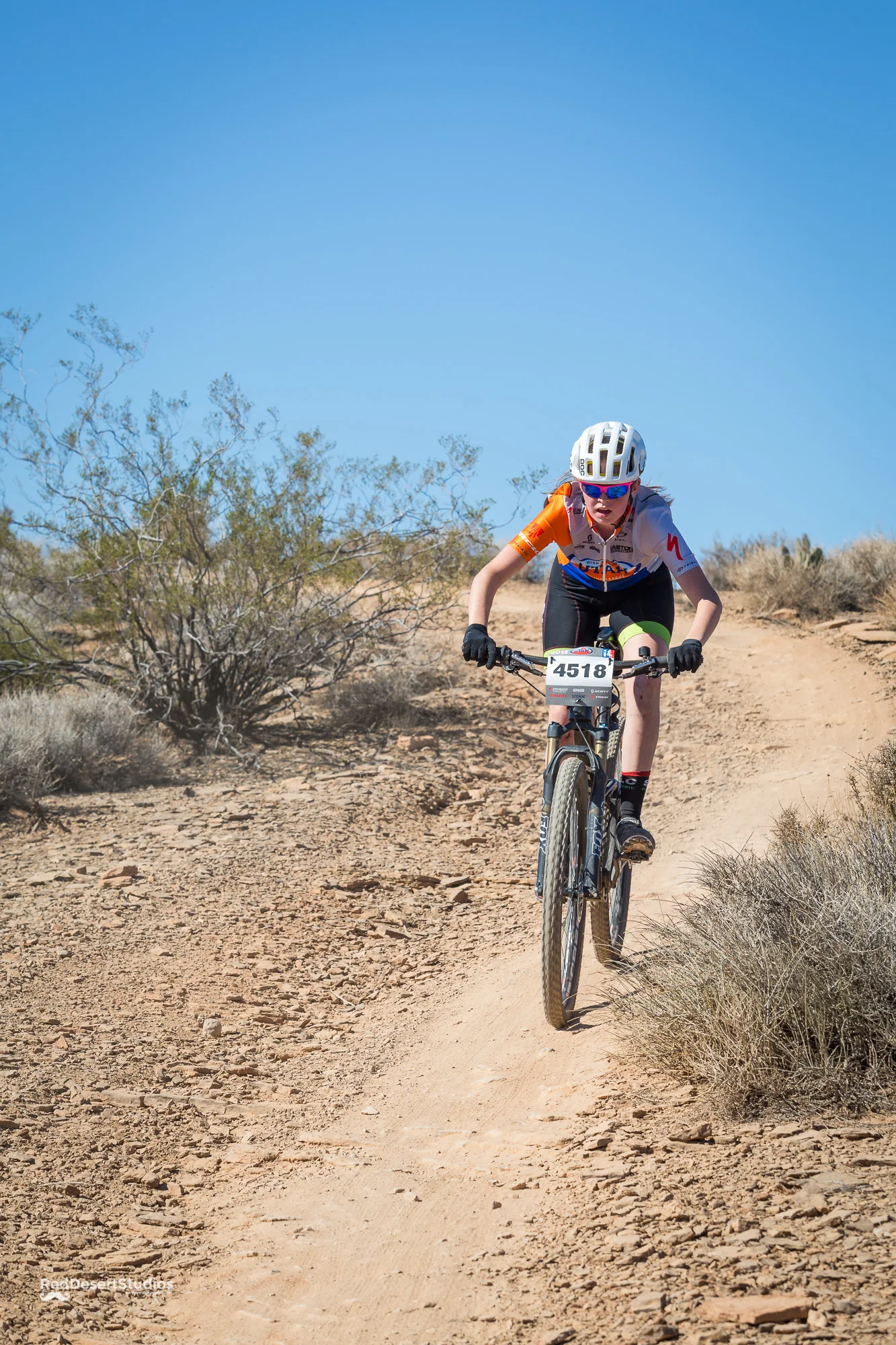 4518 Web (8 of 10).JPG