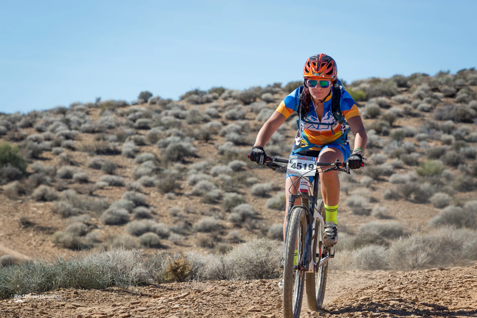 4519 Web (5 of 7).JPG