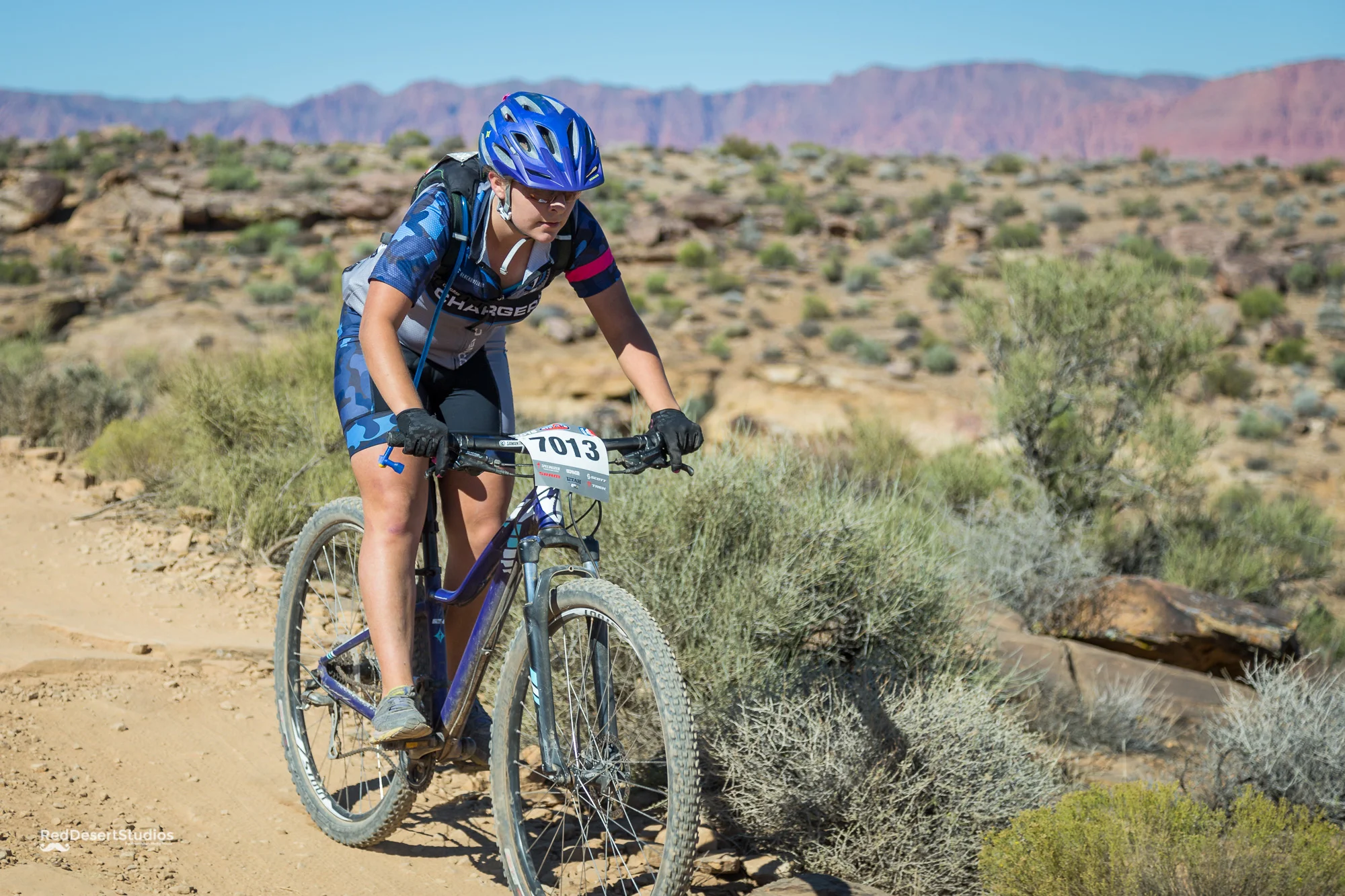 7013 Web (6 of 6).JPG