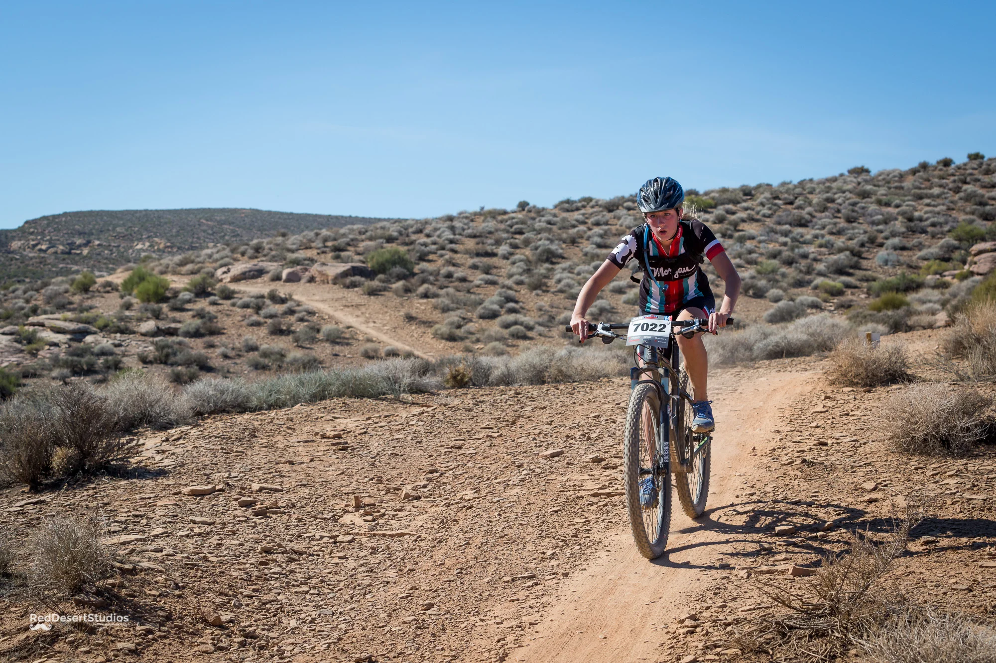 7022 Web (5 of 5).JPG