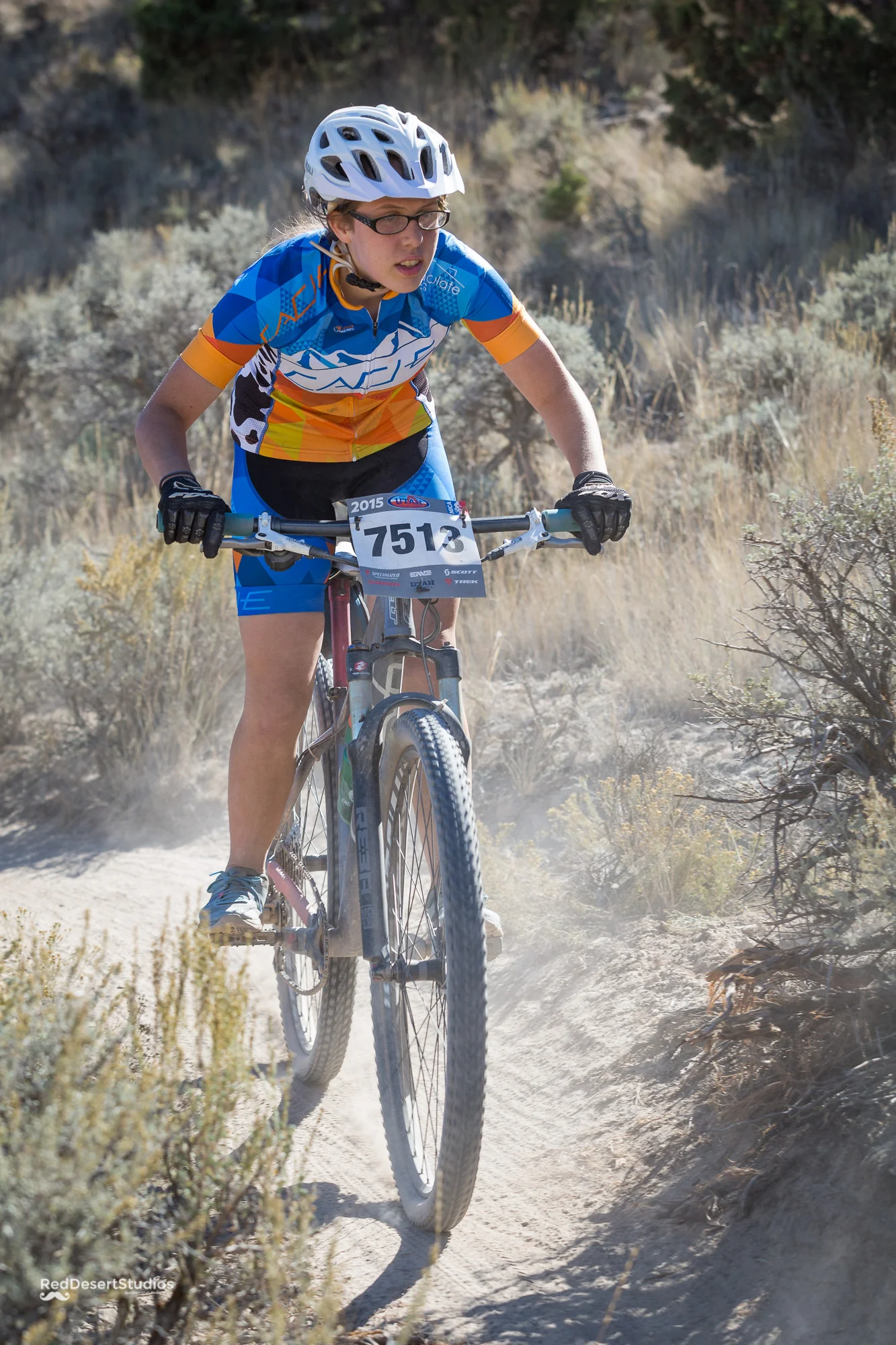 7513 Web (6 of 9).JPG