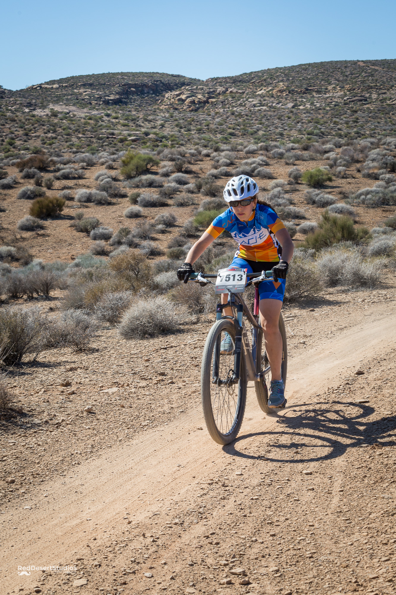 7513 Web (8 of 9).JPG