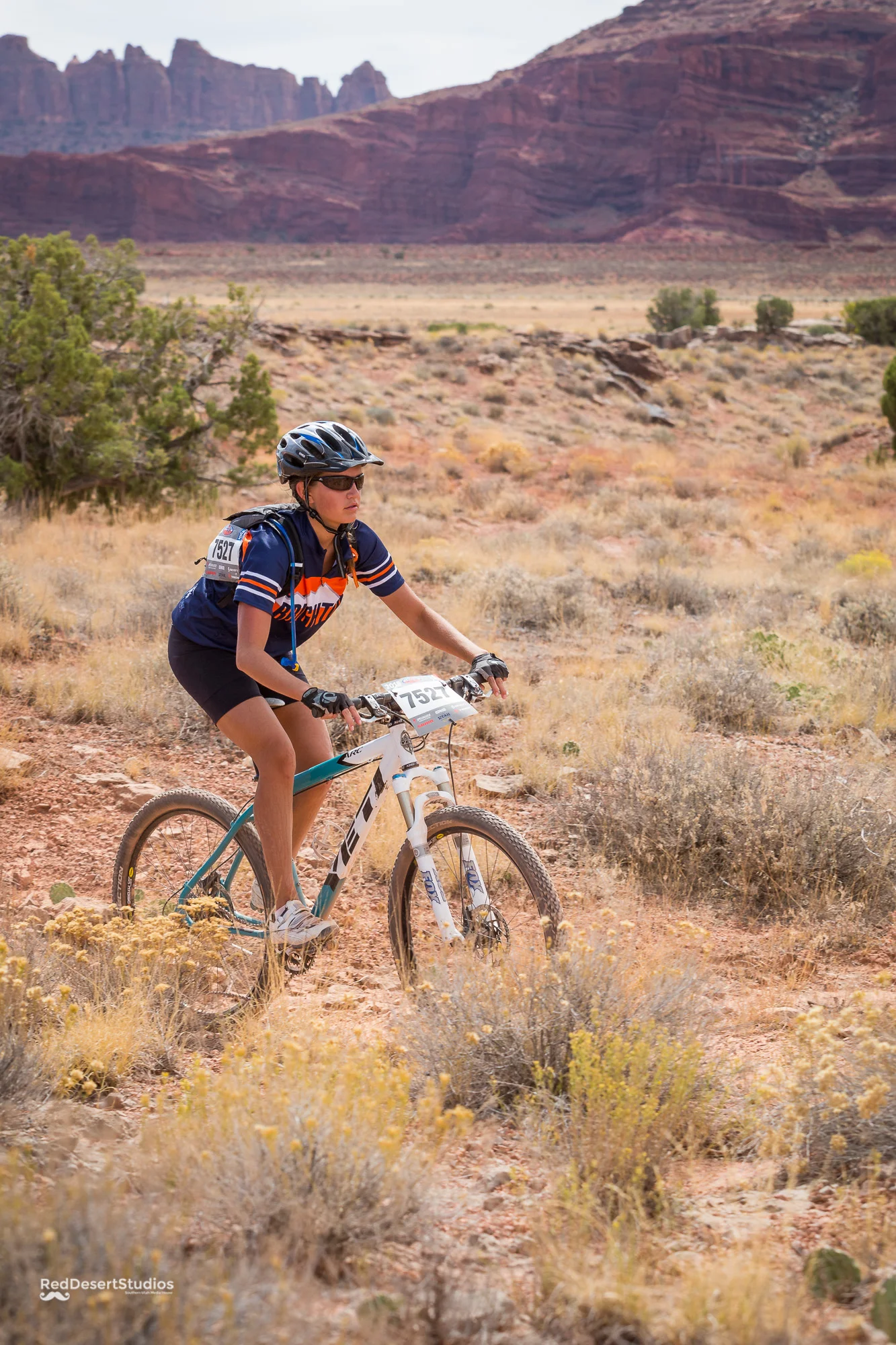 7527 Web (6 of 9).JPG