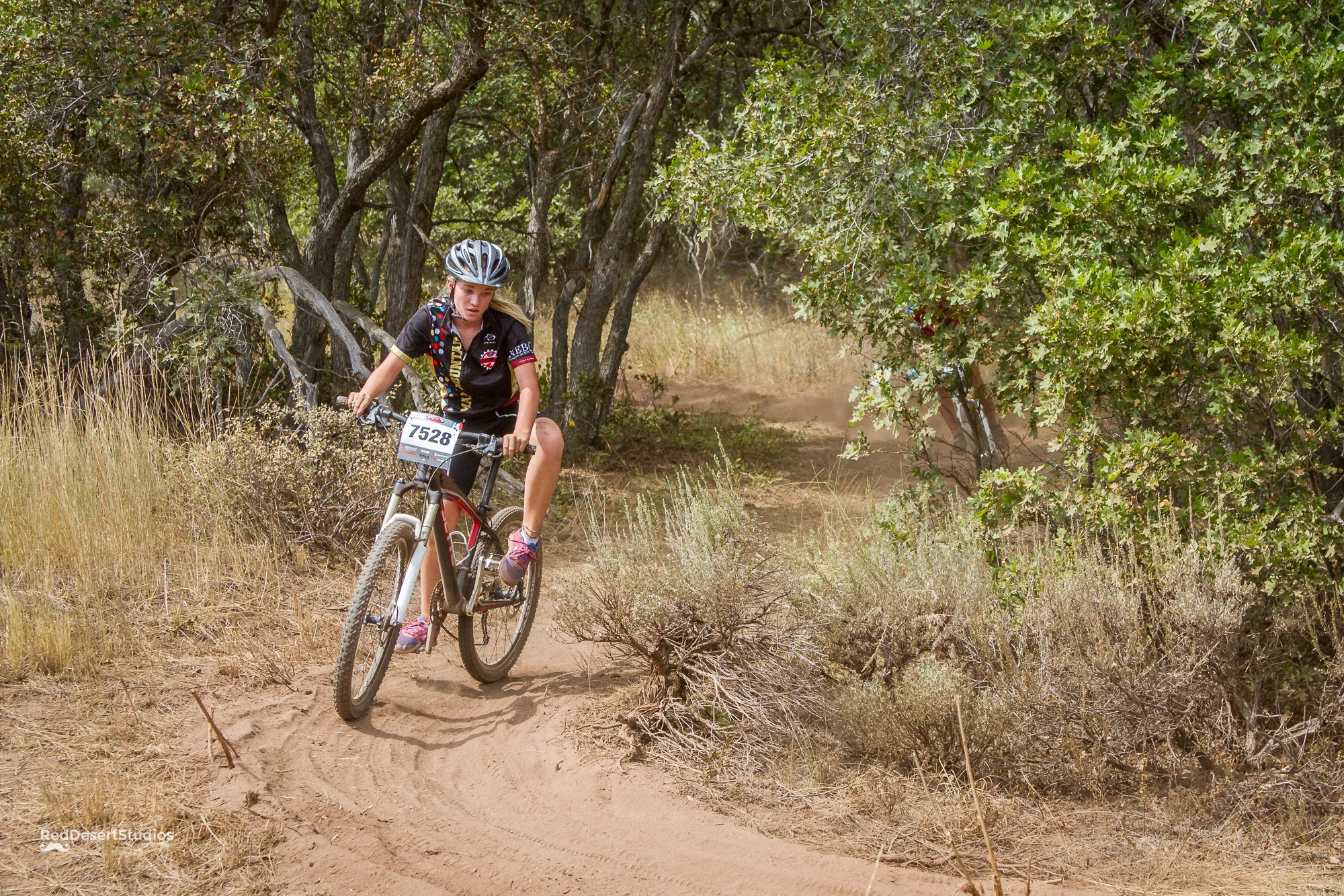 7528 Web (3 of 8).JPG