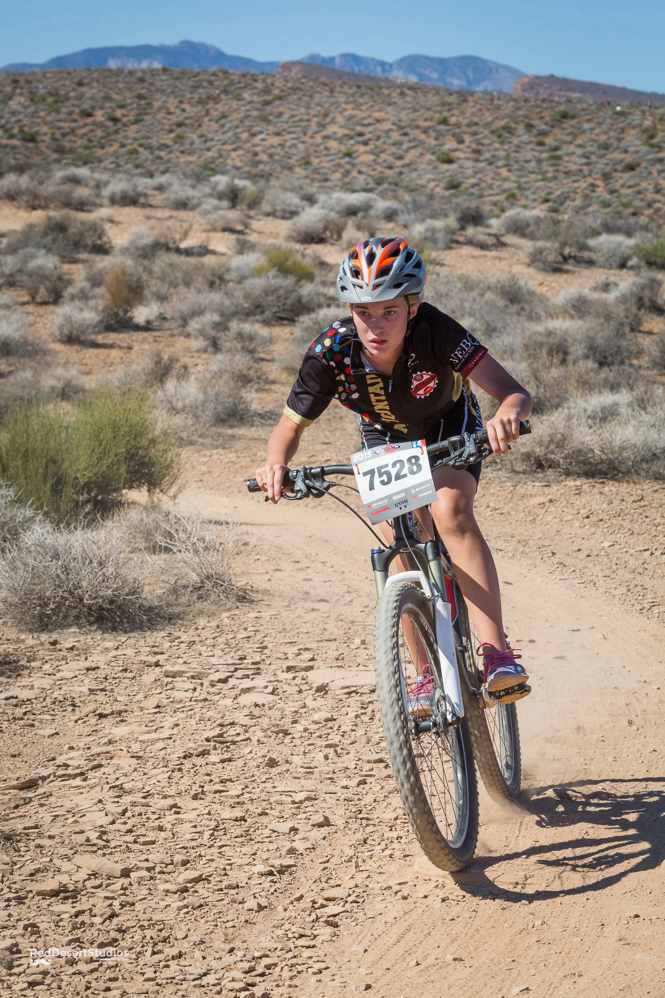 7528 Web (8 of 8).JPG