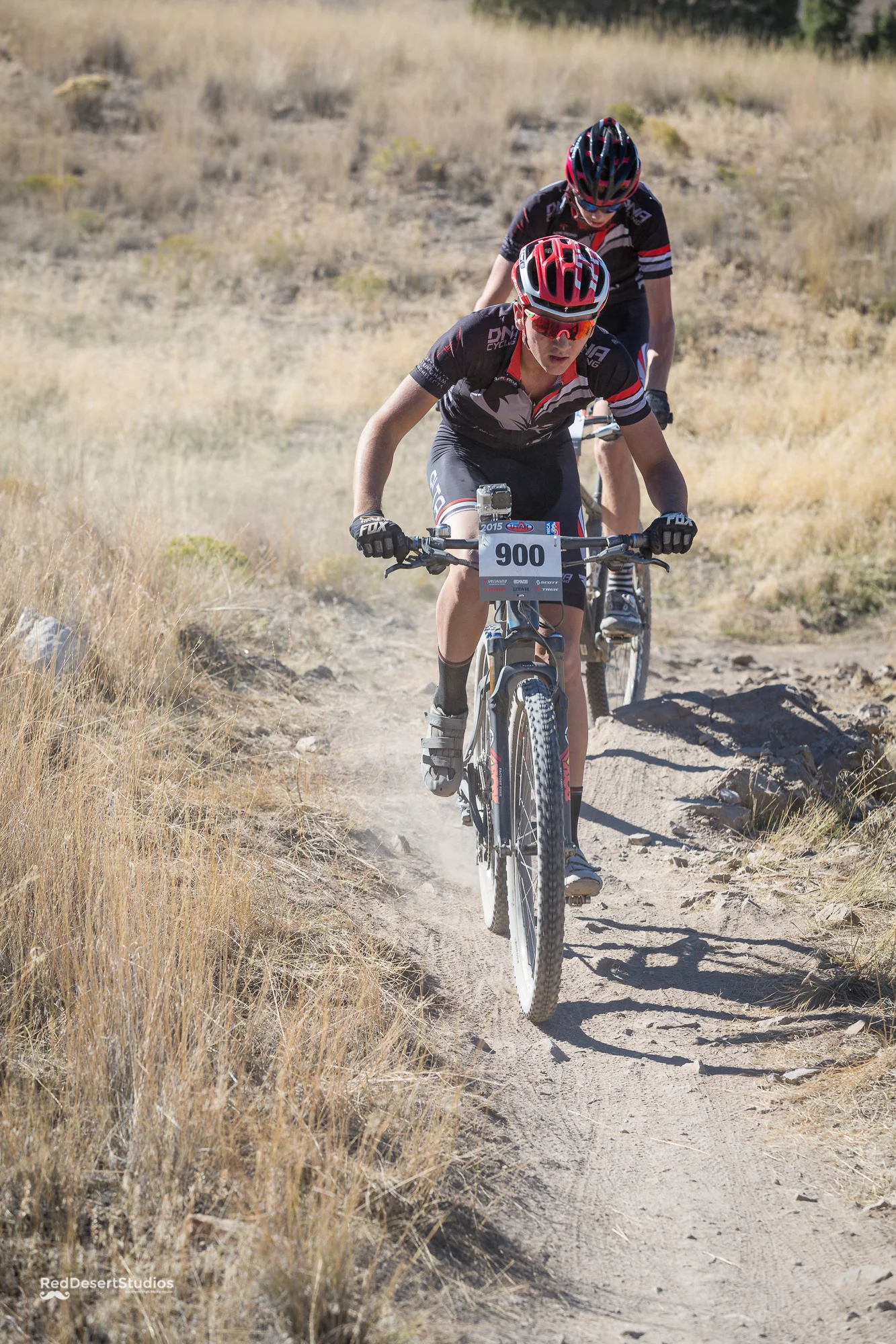 900 Web (5 of 9).JPG