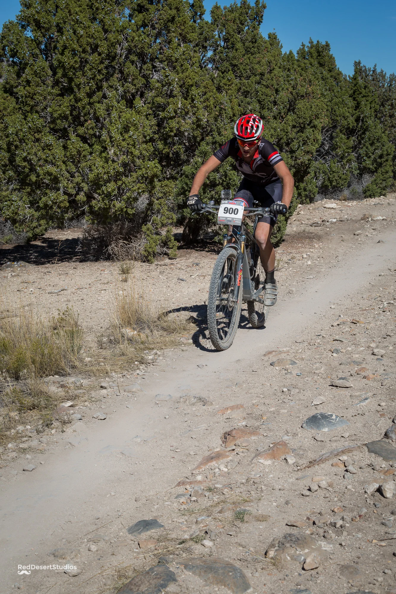 900 Web (6 of 9).JPG