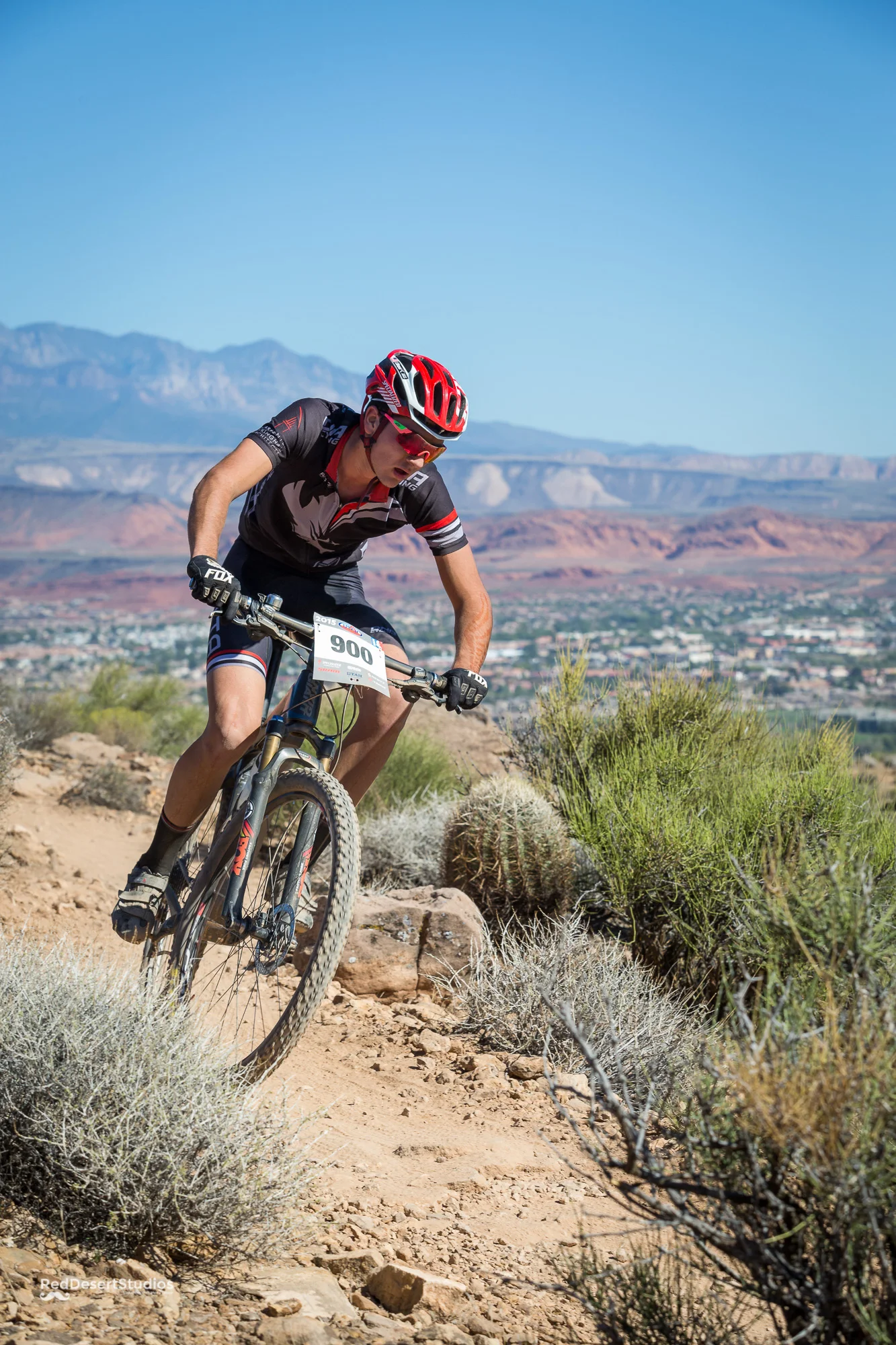 900 Web (7 of 9).JPG