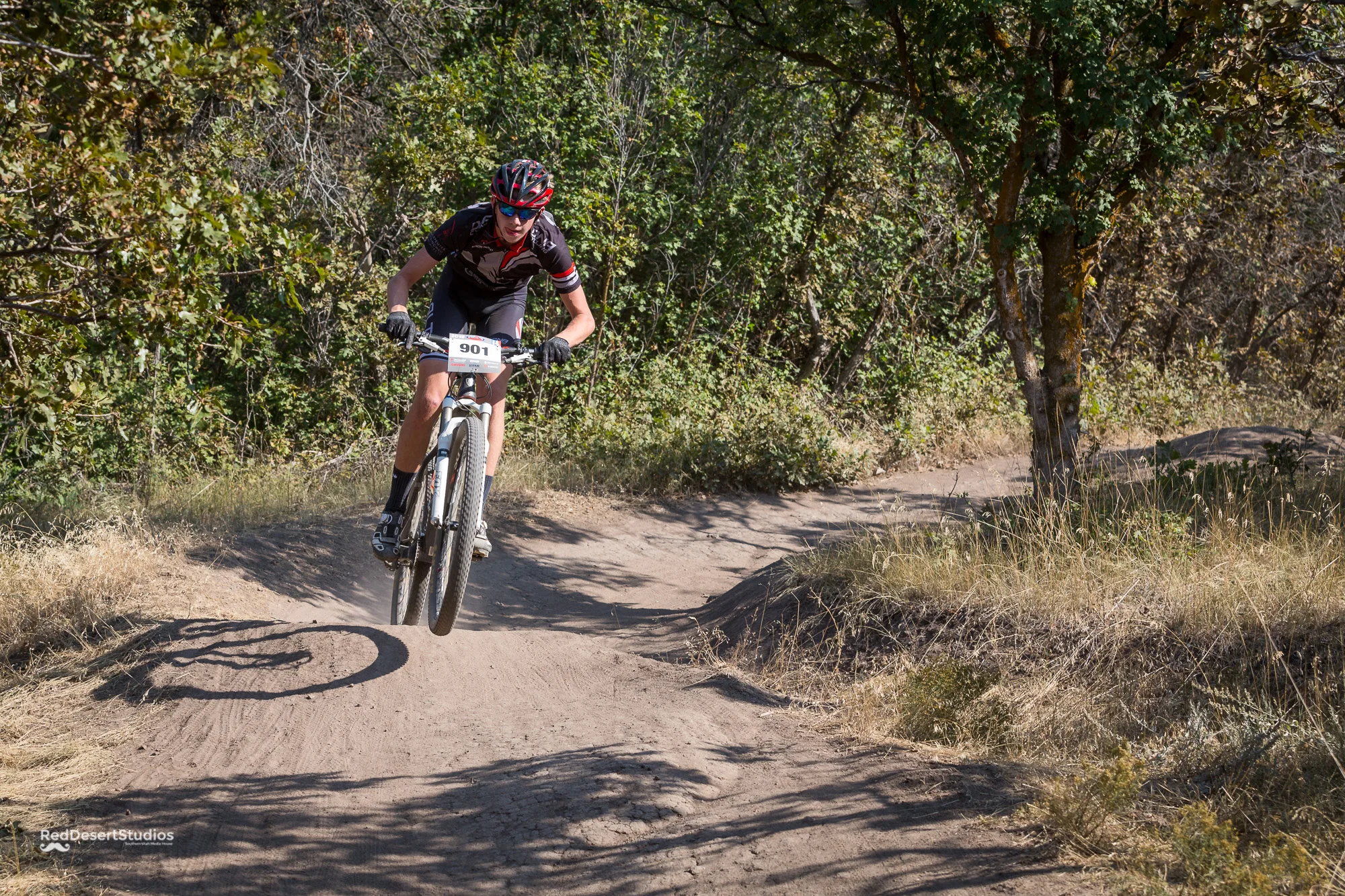 901 Web (3 of 8).JPG