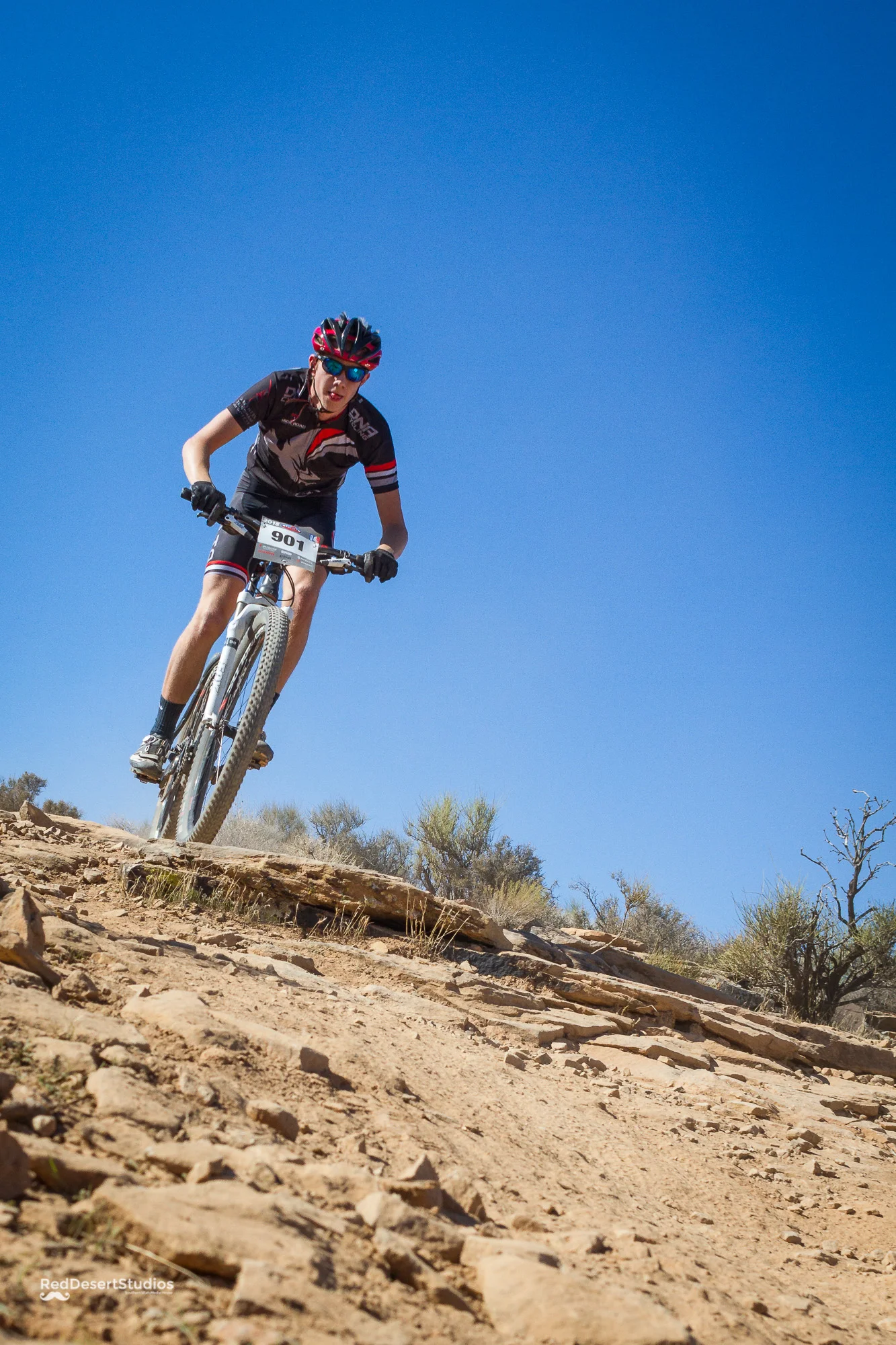 901 Web (8 of 8).JPG