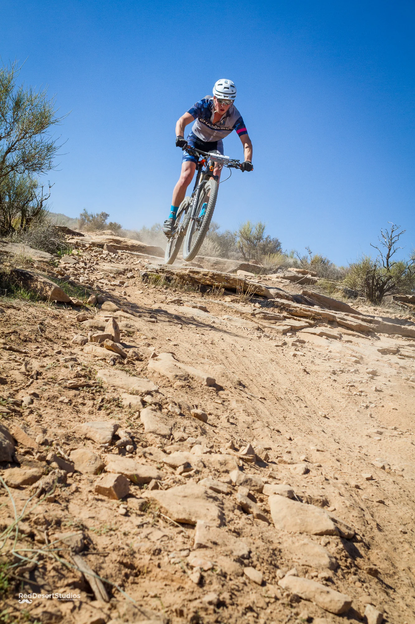 913 Web (8 of 8).JPG