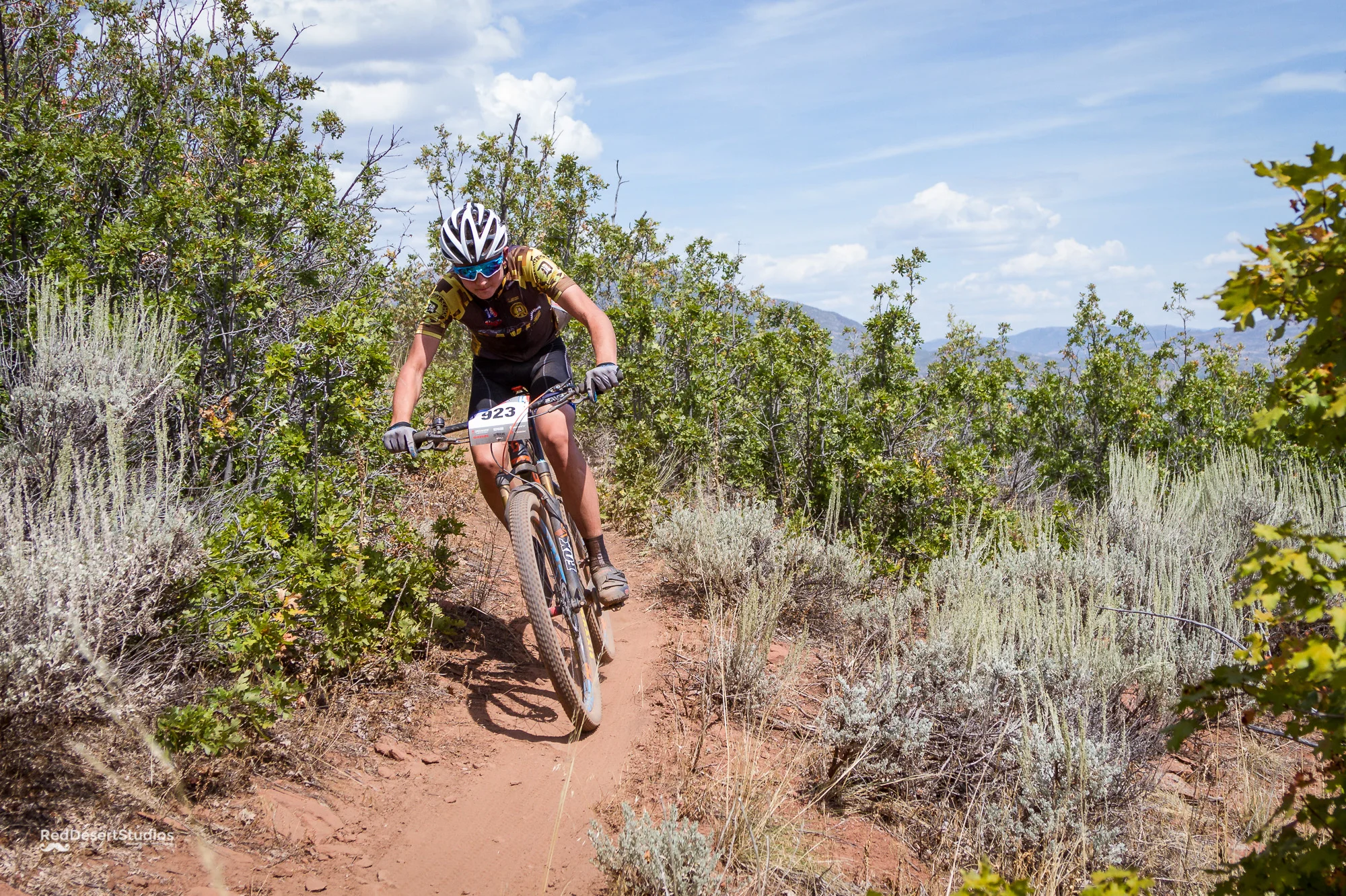 923 Web (2 of 10).JPG