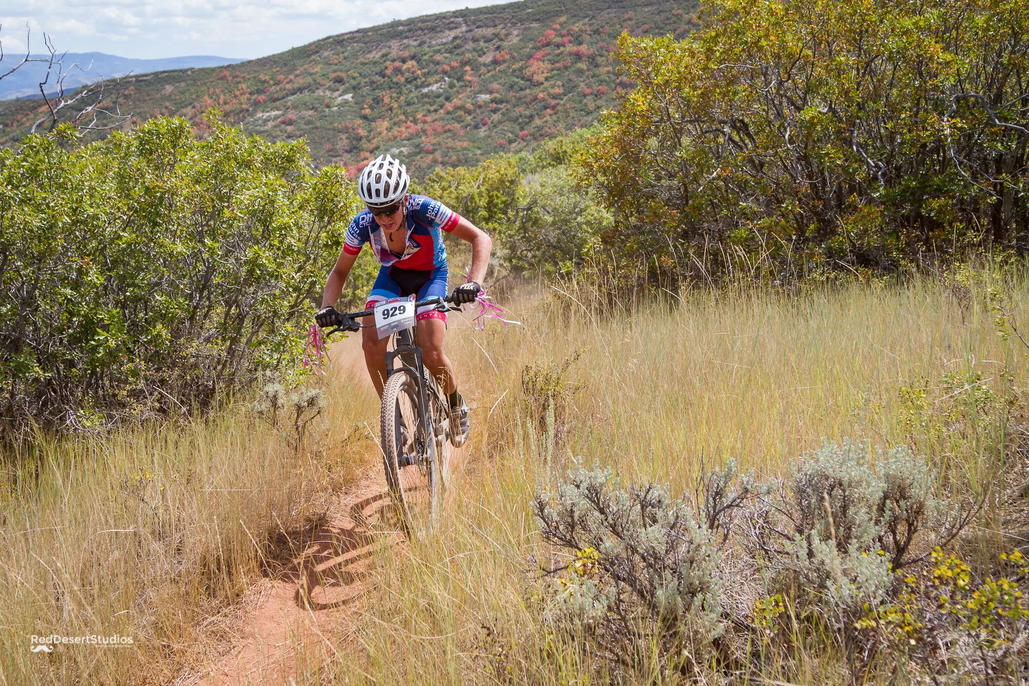 929 Web (2 of 7).JPG