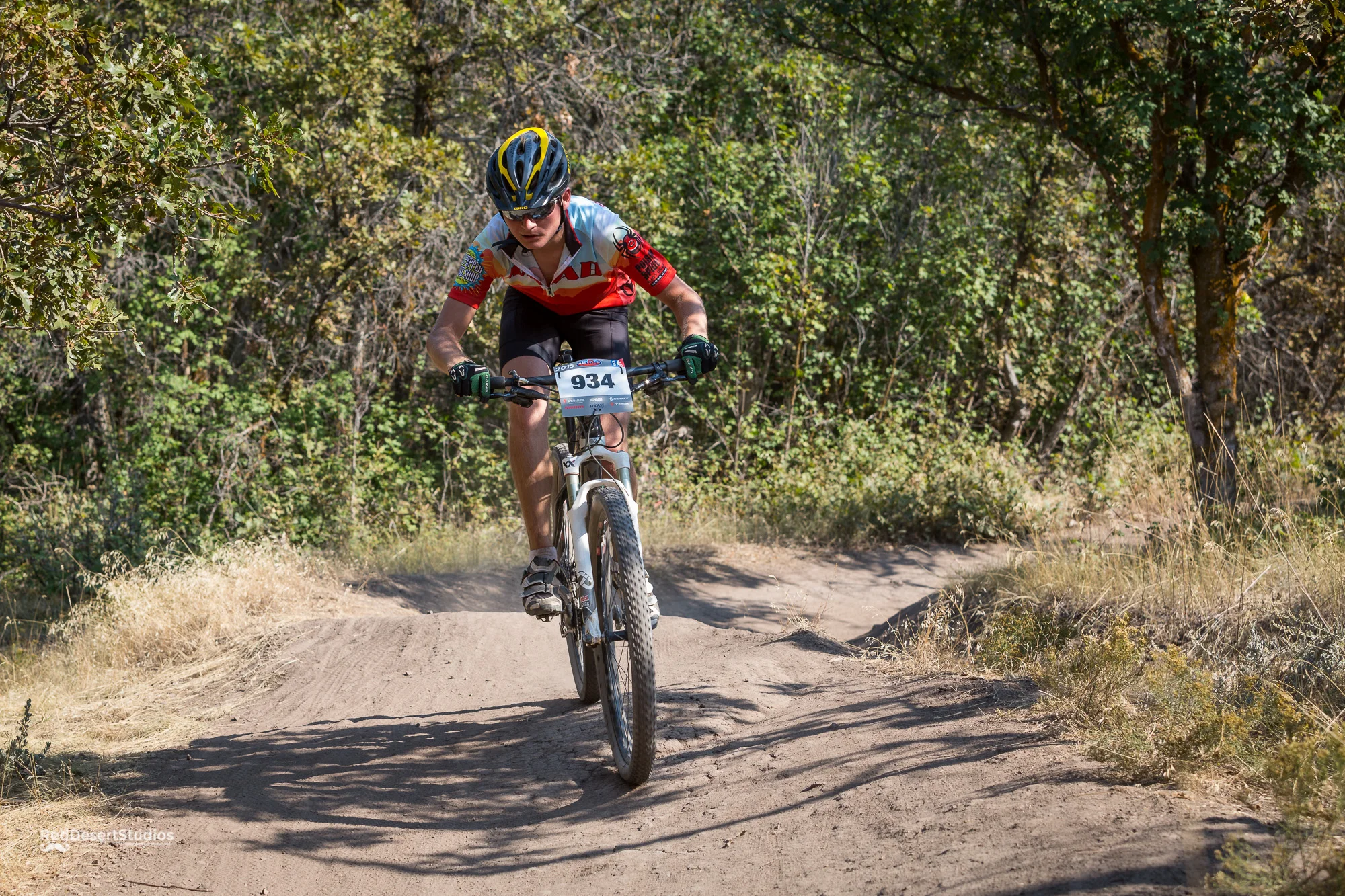 934 Web (2 of 9).JPG