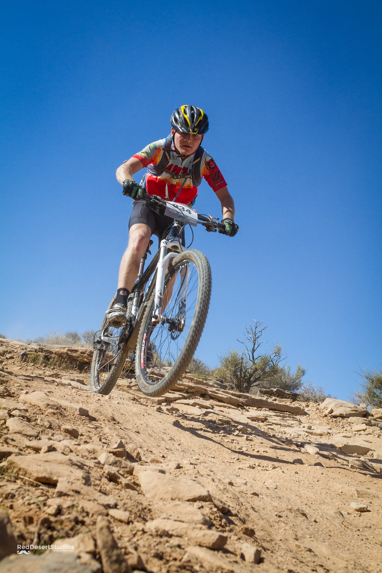 934 Web (9 of 9).JPG