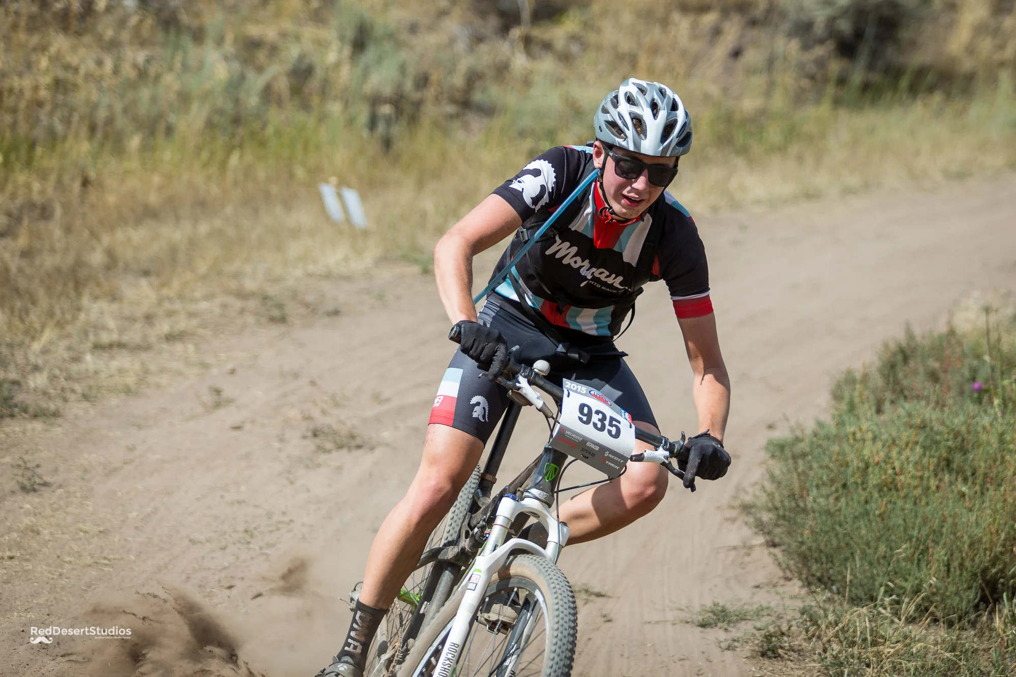 935 Web (3 of 3).JPG