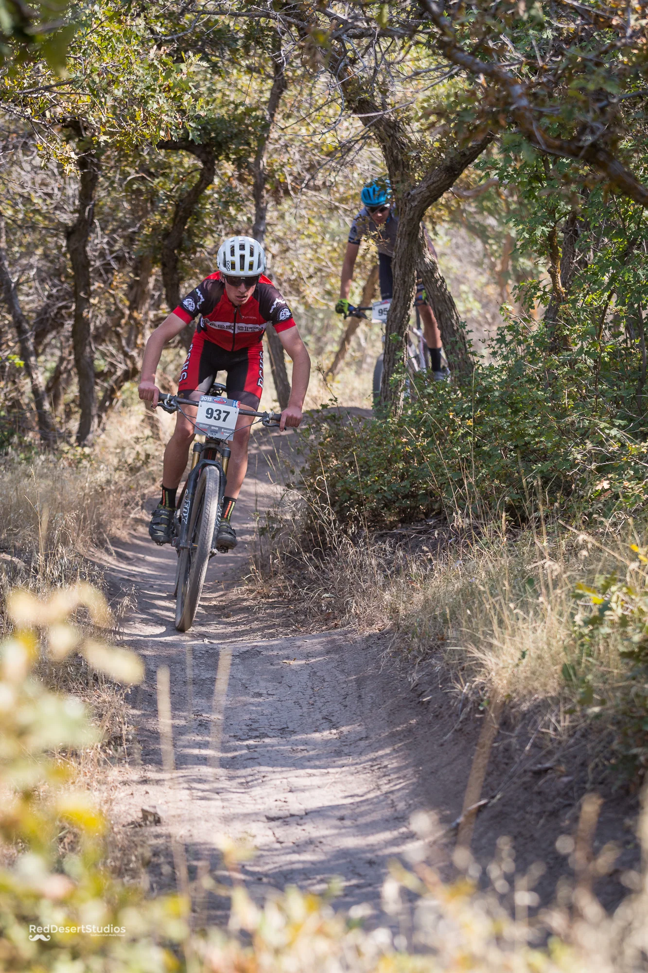 937 Web (2 of 8).JPG