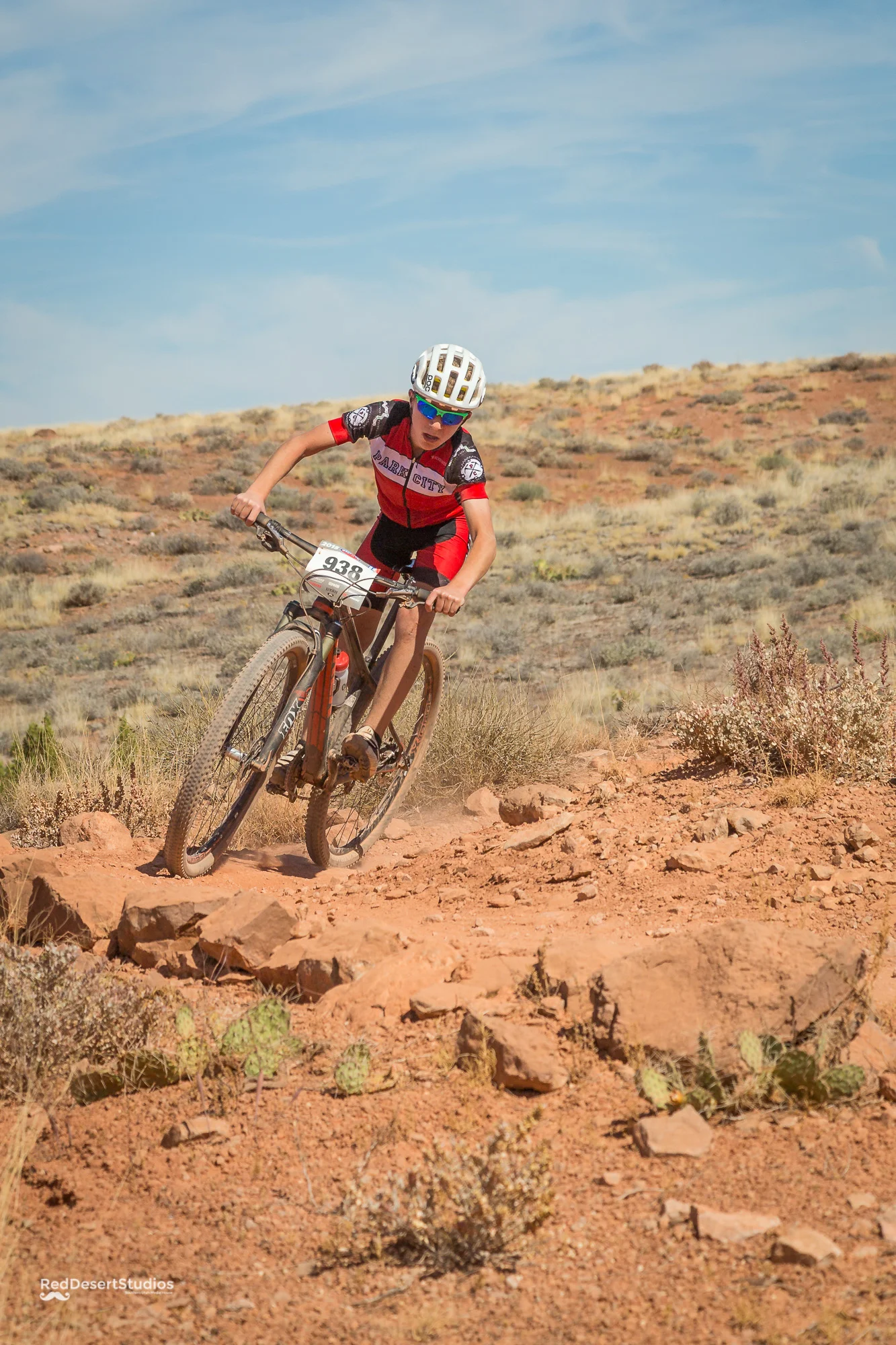 938 Web (2 of 7).JPG