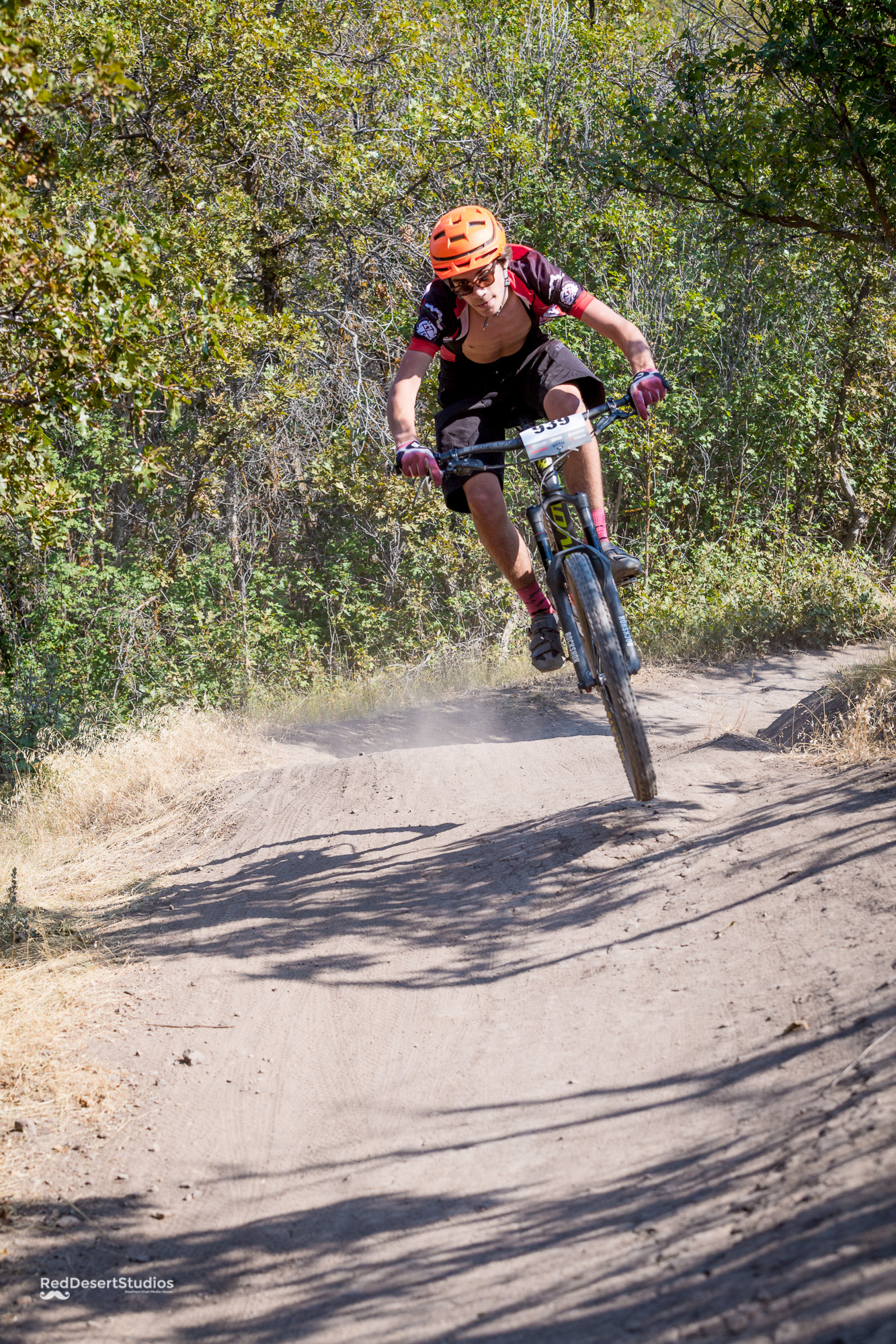 939 Web (3 of 6).JPG