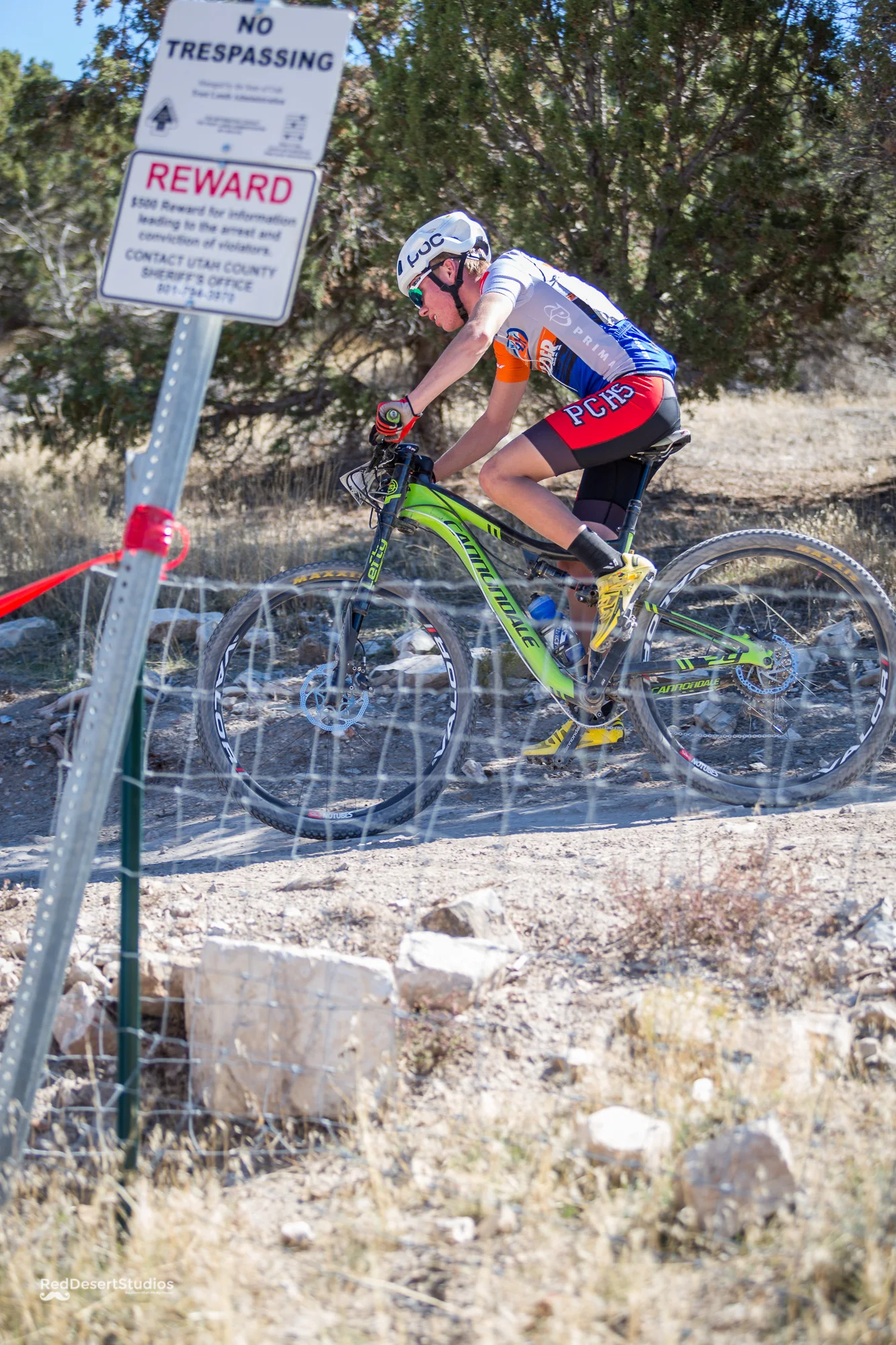 940 Web (8 of 11).JPG