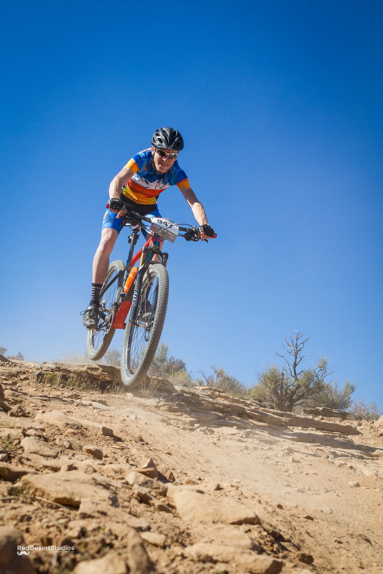 947 Web (8 of 8).JPG