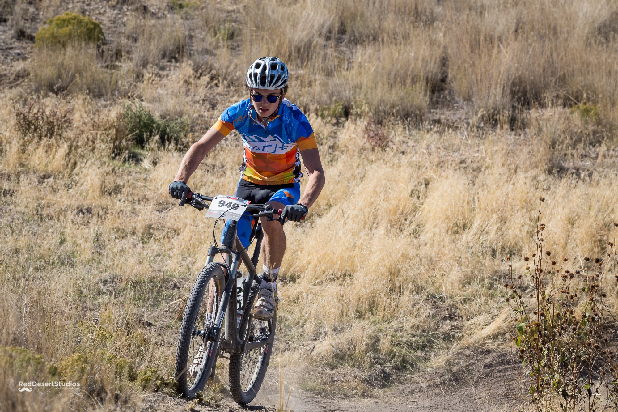 949 Web (5 of 7).JPG