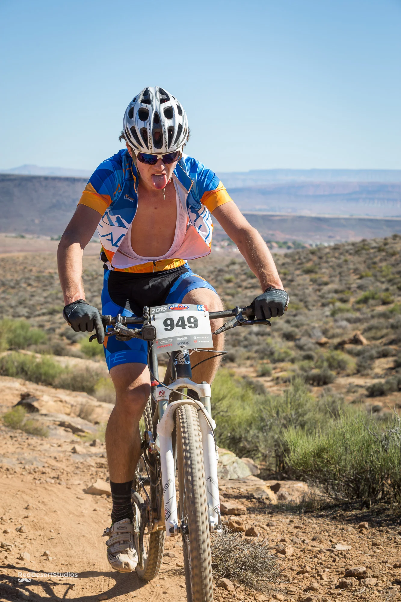 949 Web (7 of 7).JPG