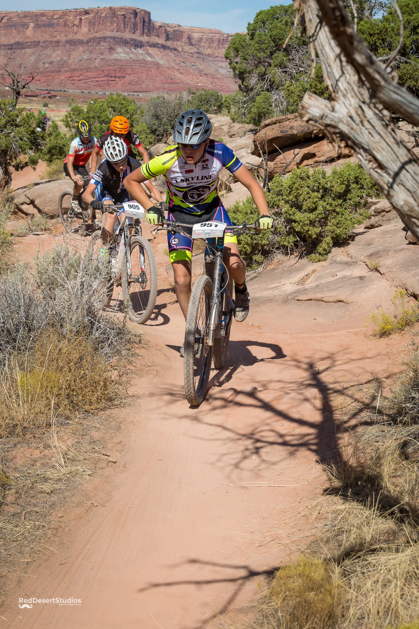 951 Web (3 of 8).JPG