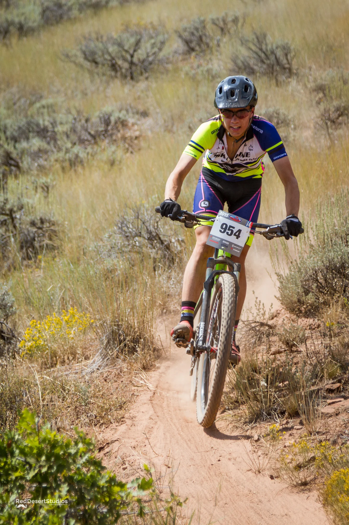 954 Web (2 of 9).JPG