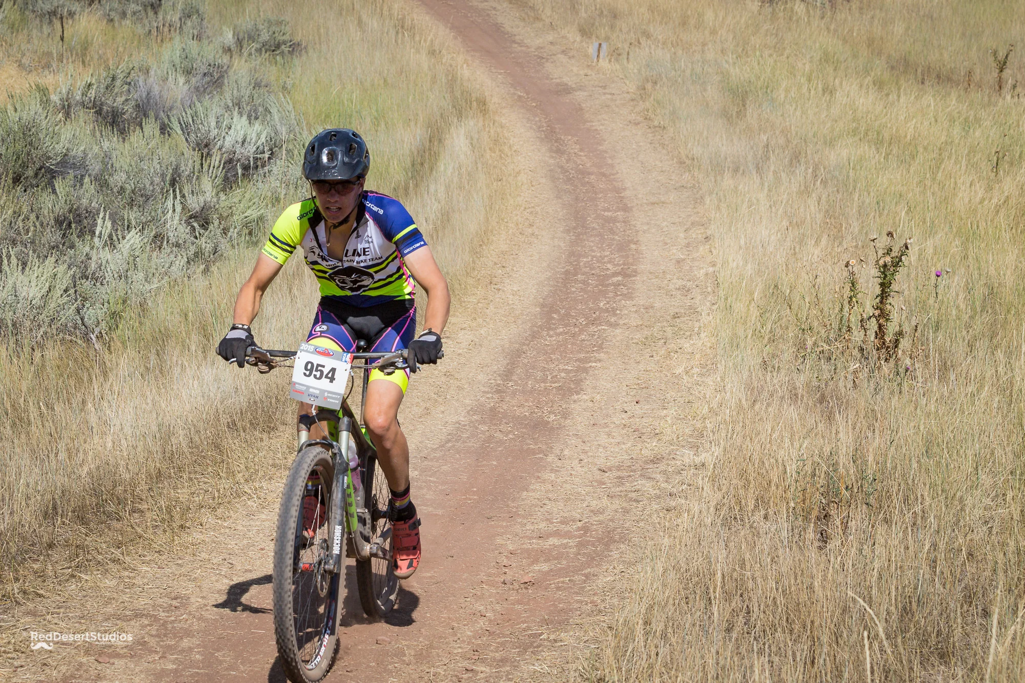 954 Web (1 of 9).JPG