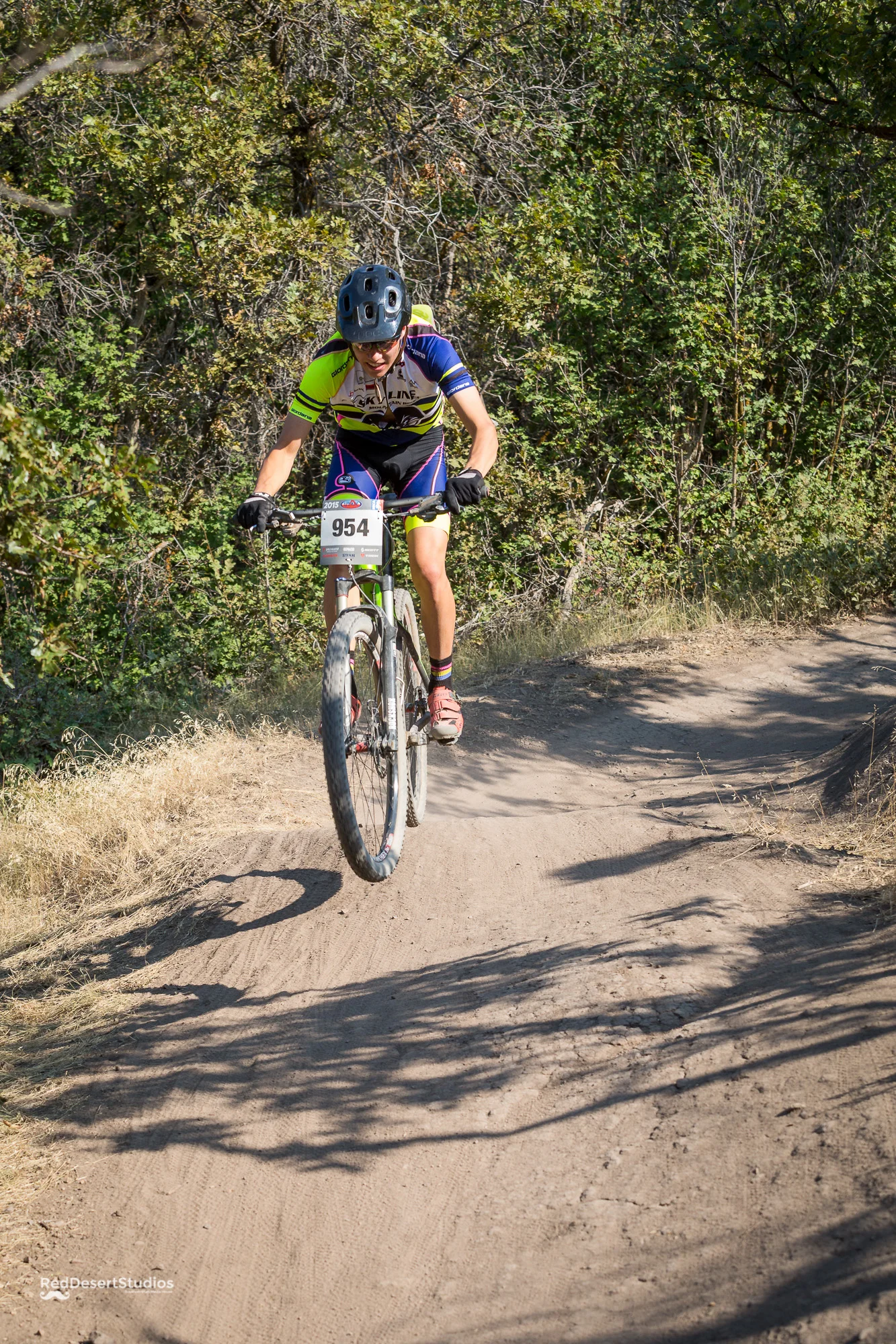 954 Web (4 of 9).JPG