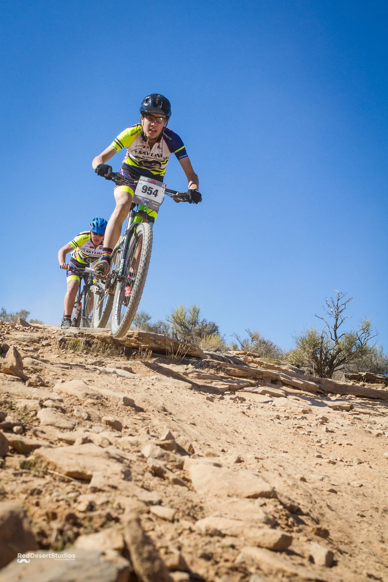 954 Web (9 of 9).JPG