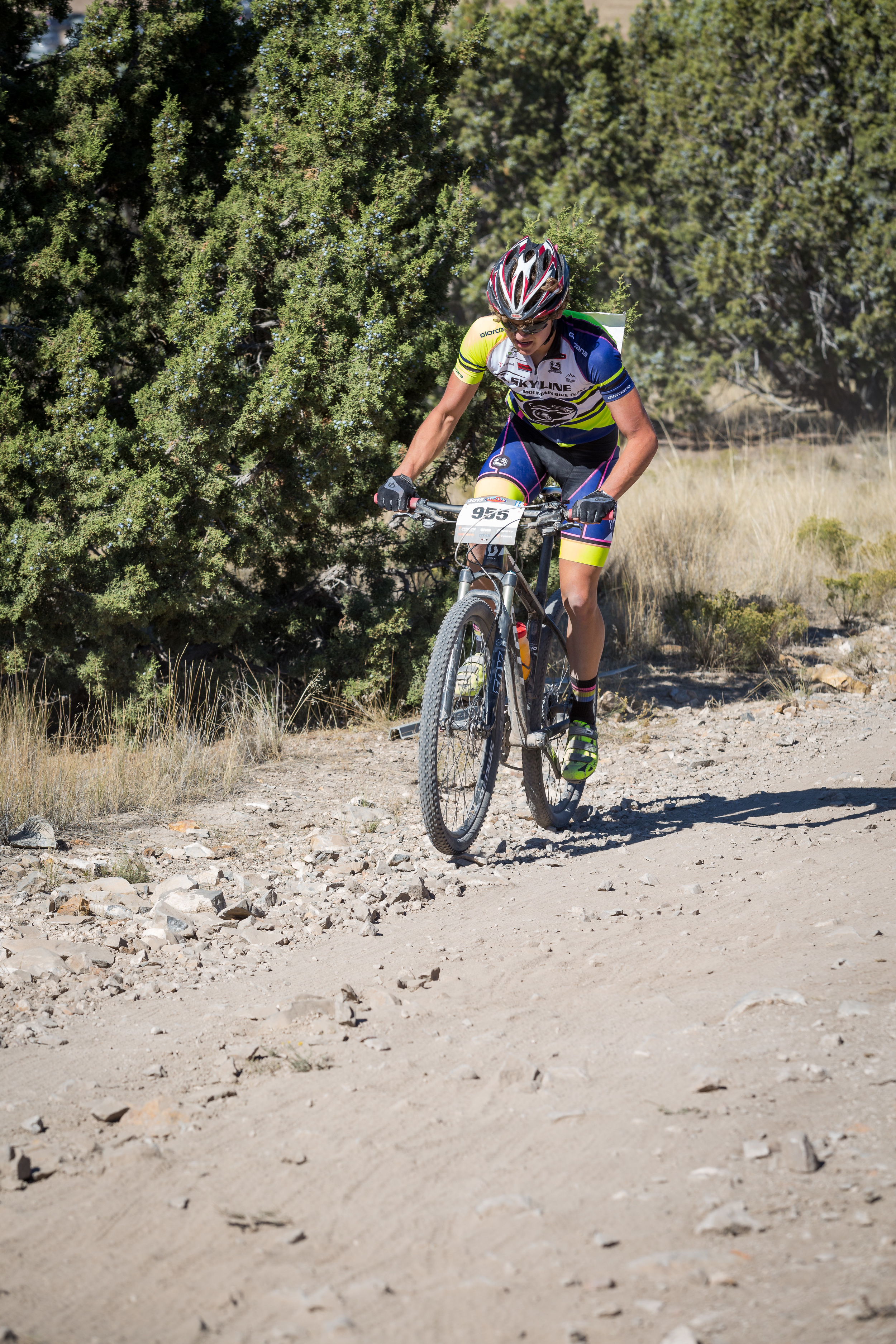 955 Web (5 of 8).JPG