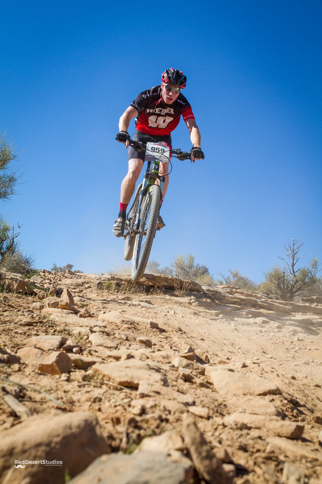 959 Web (6 of 6).JPG