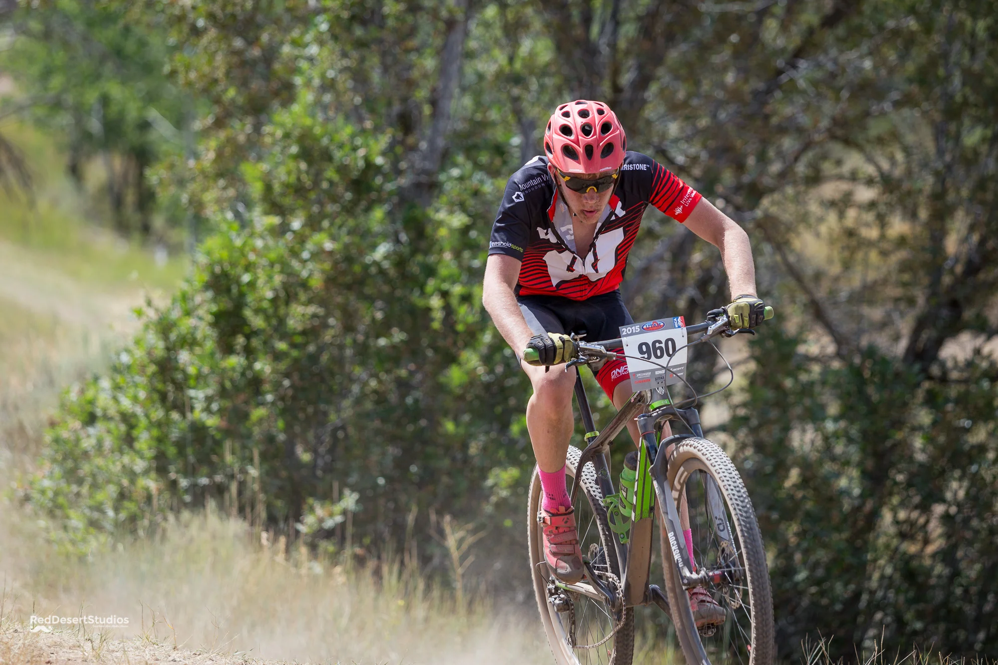 960 Web (2 of 8).JPG